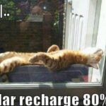 Solar recharge